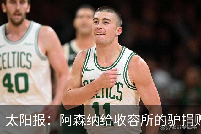 太阳报：阿森纳给收容所的驴捐赠40双球袜，保护它们腿部免受感染